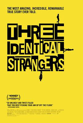 孪生陌生人 Three Identical Strangers