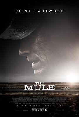 骡子 The Mule